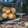 芬兰汉诺金Immunomax AHCC 极地虫草80粒葡聚糖担子菌