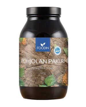 Chaga mushroom supplement