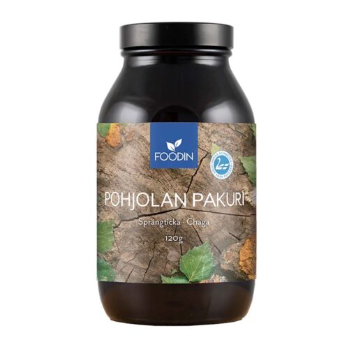 Chaga mushroom supplement