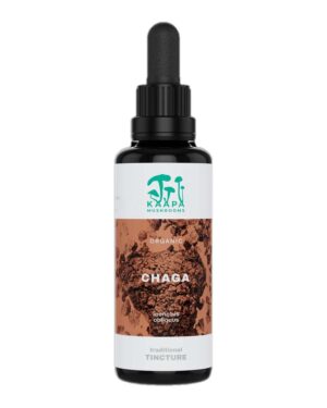 Chaga mushroom tincture