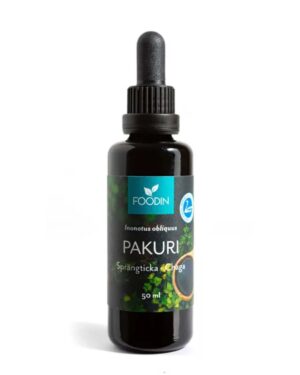 Chaga Foodin supplement