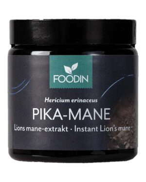 LIon's Mane mushroom extract