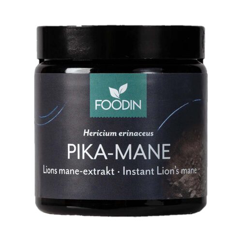 LIon's Mane mushroom extract