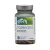 Valerian root extract supplement
