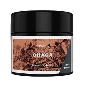 Organic Chaga mushroom
