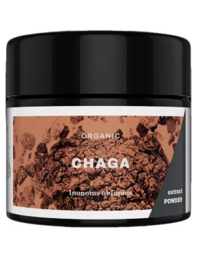 Organic Chaga mushroom