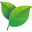 Naturally Sourced Icon